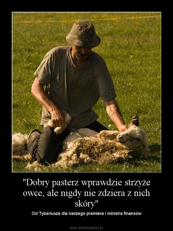 "Dobry pasterz wprawdzie strzyże owce, ale nigdy nie zdziera z nich skóry" – Od Tyberiusza dla naszego premiera i ministra finansów 