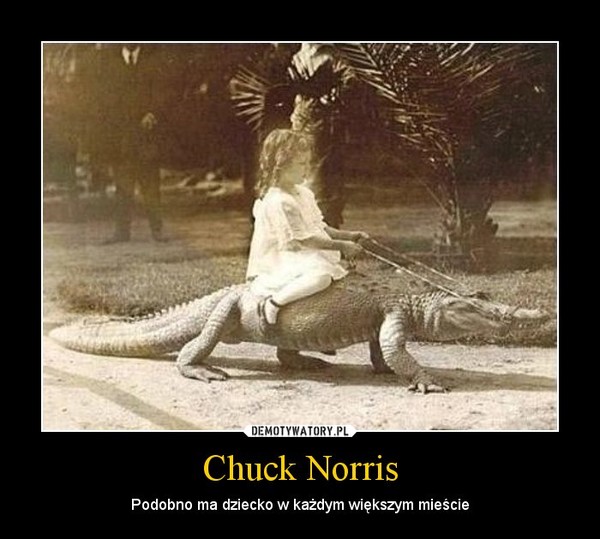 Chuck Norris – Podobno ma dziecko w każdym większym mieście 