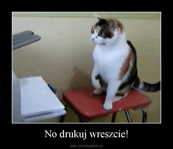 No drukuj wreszcie! –  