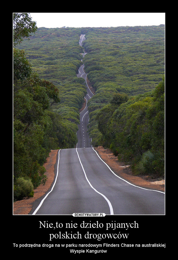 Nie,to nie dzieło pijanychpolskich drogowców – To podrzędna droga na w parku narodowym Flinders Chase na australiskiej Wyspie Kangurów  