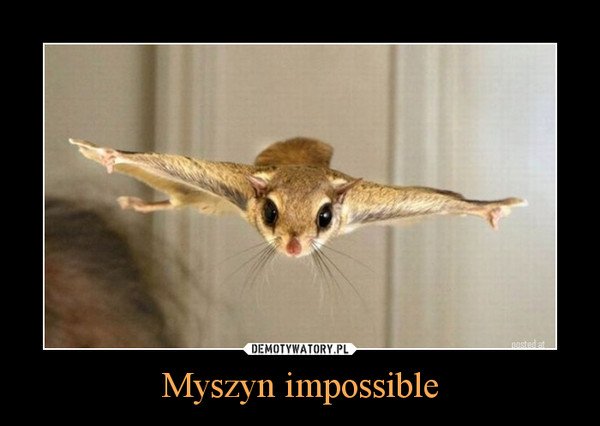 Myszyn impossible –  