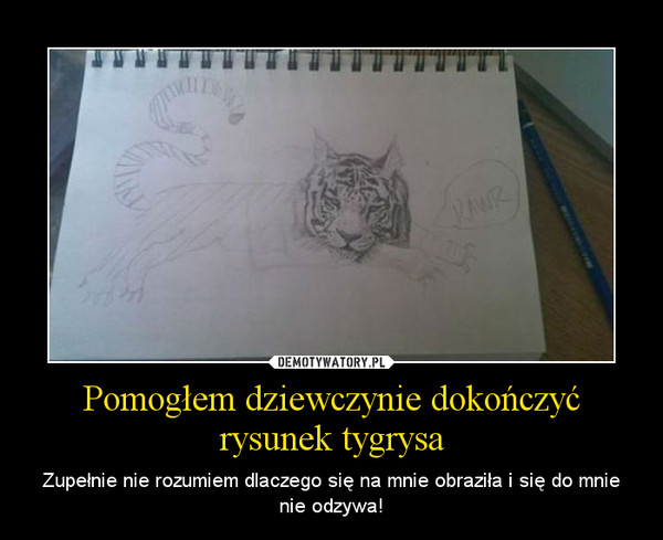 Pomogłem dziewczynie dokończyć rysunek tygrysa