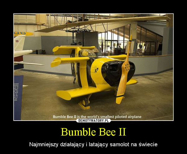 Bumble Bee II – Najmniejszy działający i latający samolot na świecie 