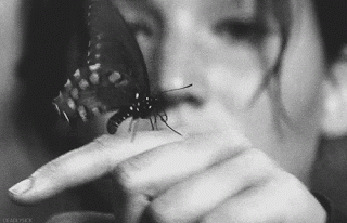 "Motyle nie mogą zobaczyć swoich skrzydeł. Nie mogą zobaczyć jak bardzo są piękne, ale wszyscy inni to zauważają. – Podobnie jest z ludźmi." 