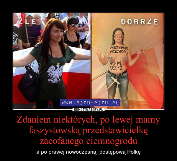 Zdaniem niektórych, po lewej mamy faszystowską przedstawicielkę zacofanego ciemnogrodu – a po prawej nowoczesną, postępową Polkę 