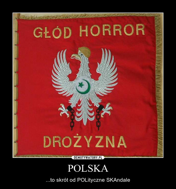 POLSKA – ...to skrót od POLityczne SKAndale 