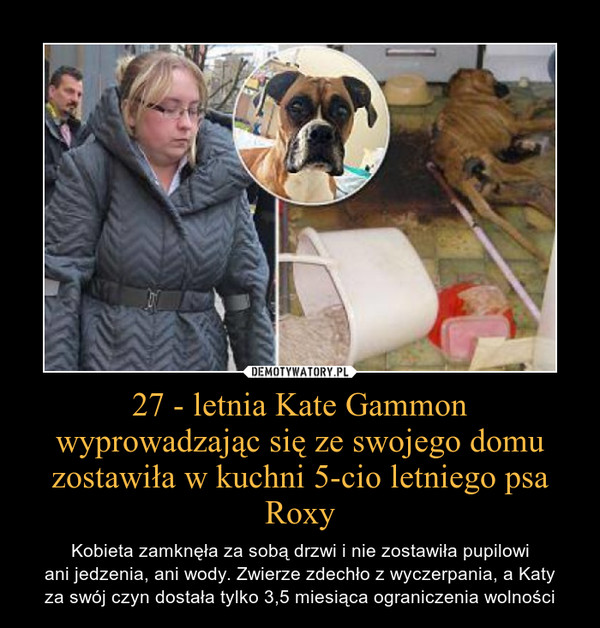 27 - letnia Kate Gammon wyprowadzając się ze swojego domu zostawiła w kuchni 5-cio letniego psa Roxy