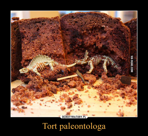 Tort paleontologa –  