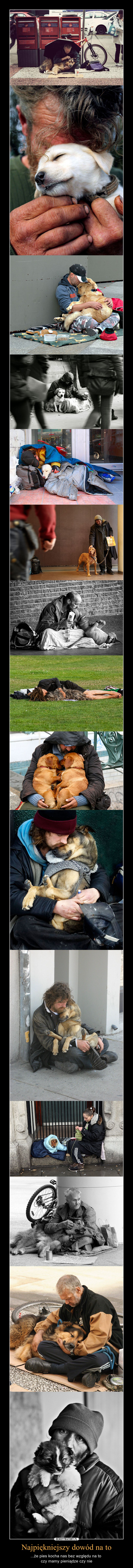 Najpiękniejszy dowód na to – ...że pies kocha nas bez względu na to czy mamy pieniądze czy nie 