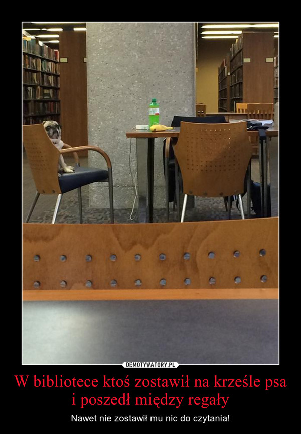 W bibliotece ktoś zostawił na krześle psa i poszedł między regały – Nawet nie zostawił mu nic do czytania! 