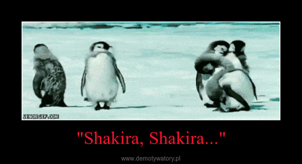 "Shakira, Shakira..." –  