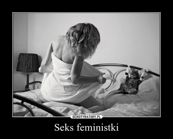 Seks feministki –  