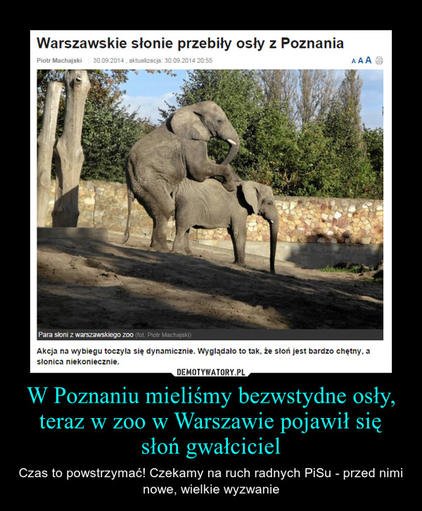 W Poznaniu mieliśmy bezwstydne osły, teraz w zoo w Warszawie pojawił się słoń gwałciciel – Czas to powstrzymać! Czekamy na ruch radnych PiSu - przed nimi nowe, wielkie wyzwanie 