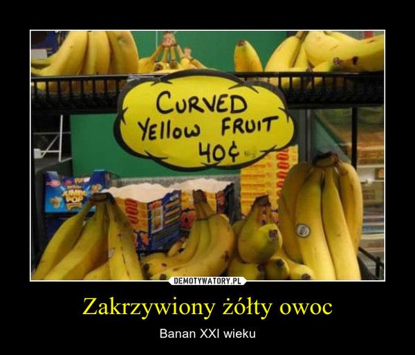 Zakrzywiony żółty owoc – Banan XXI wieku 