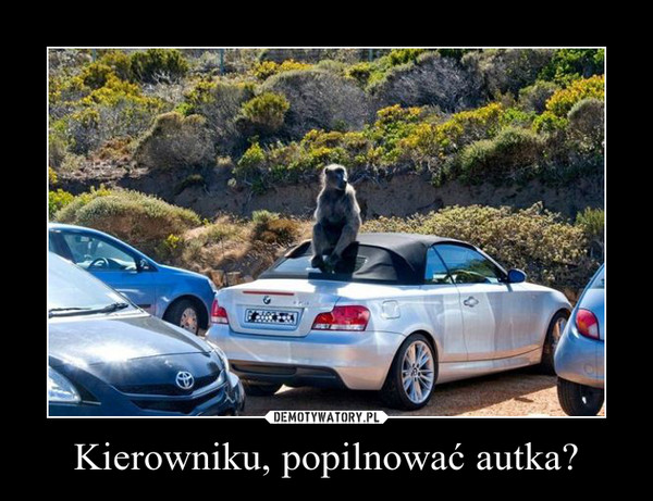 Kierowniku, popilnować autka? –  