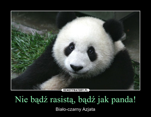 Nie bądź rasistą, bądź jak panda! – Biało-czarny Azjata 