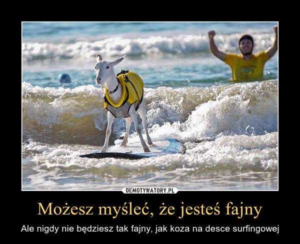 Możesz myśleć, że jesteś fajny – Ale nigdy nie będziesz tak fajny, jak koza na desce surfingowej 