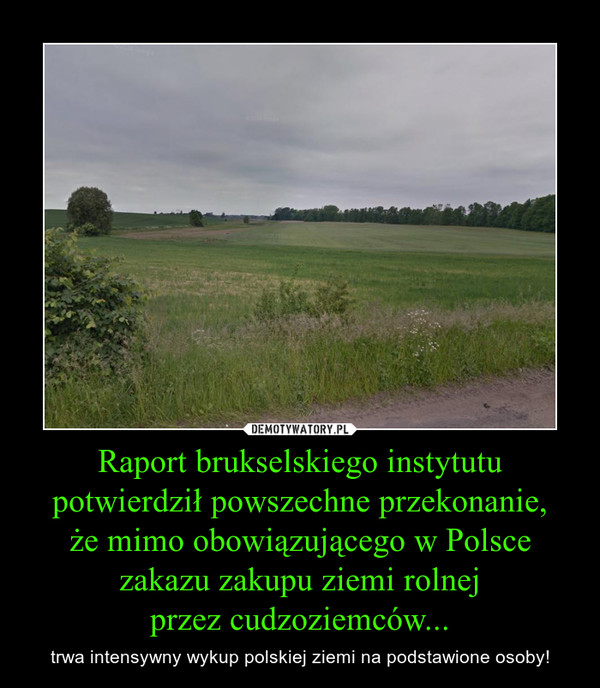 Raport brukselskiego instytutu potwierdził powszechne przekonanie,że mimo obowiązującego w Polsce zakazu zakupu ziemi rolnejprzez cudzoziemców... – trwa intensywny wykup polskiej ziemi na podstawione osoby! 