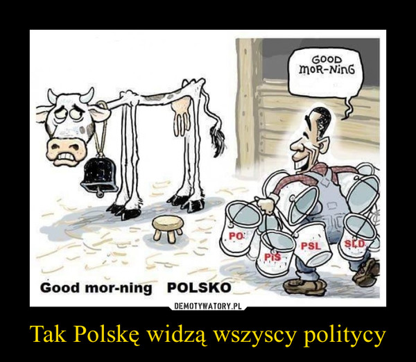 Tak Polskę widzą wszyscy politycy