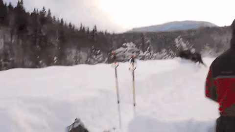 W górach nareszcie spadł śnieg – Cieszą się wszyscy wielbiciele sportów zimowych 