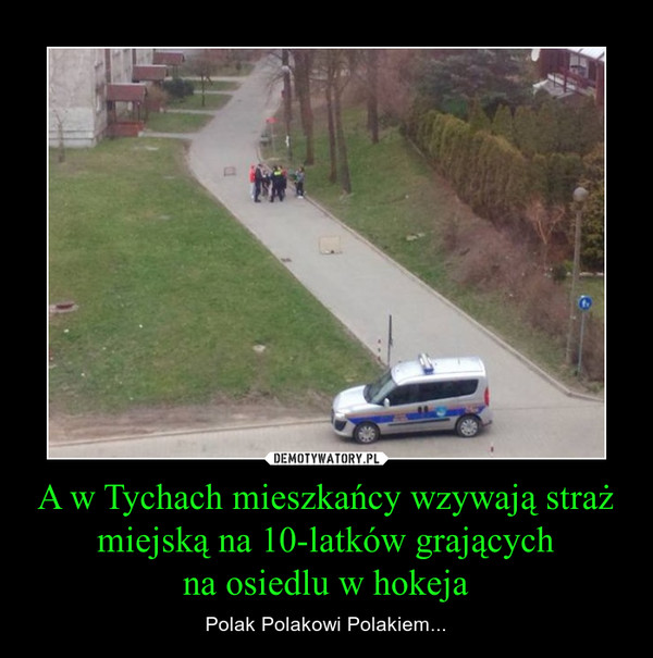 A w Tychach mieszkańcy wzywają straż miejską na 10-latków grającychna osiedlu w hokeja – Polak Polakowi Polakiem... 