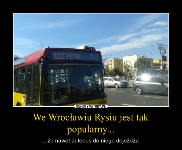 We Wrocławiu Rysiu jest tak popularny...