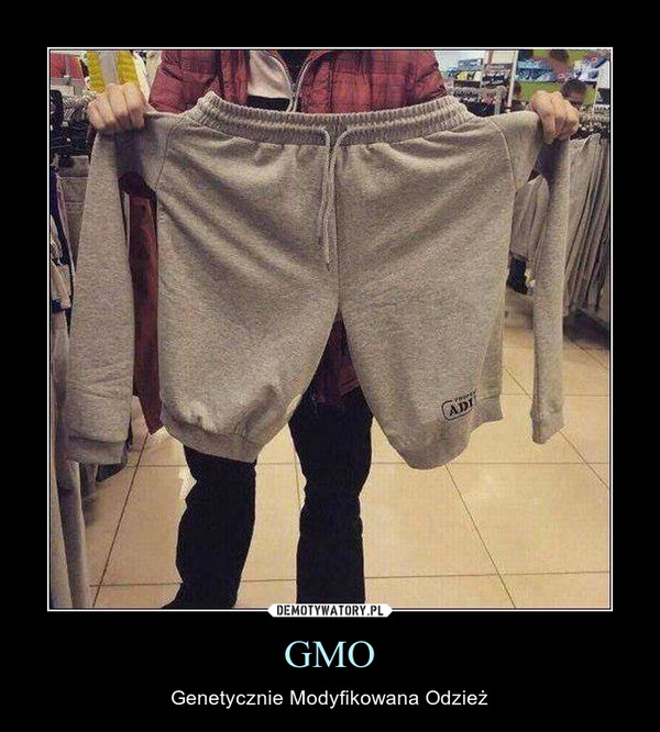 GMO – Genetycznie Modyfikowana Odzież 