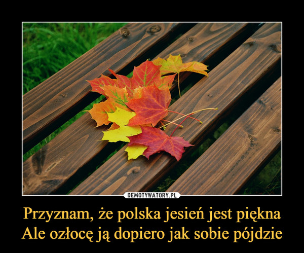 Przyznam, że polska jesień jest piękna
Ale ozłocę ją dopiero jak sobie pójdzie