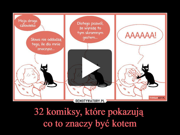 32 komiksy, które pokazują 
co to znaczy być kotem