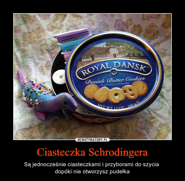 Ciasteczka Schrodingera – Są jednocześnie ciasteczkami i przyborami do szycia dopóki nie otworzysz pudełka 