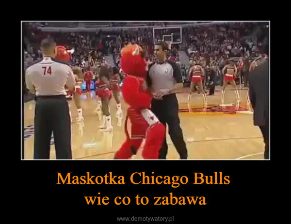 Maskotka Chicago Bulls wie co to zabawa –  