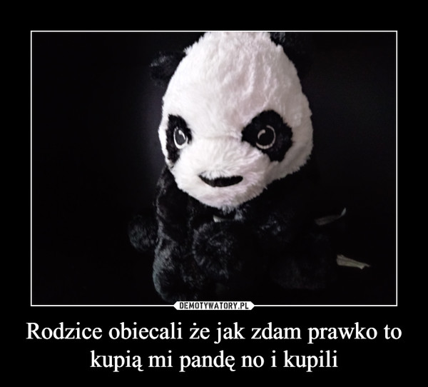 Rodzice obiecali że jak zdam prawko to kupią mi pandę no i kupili –  