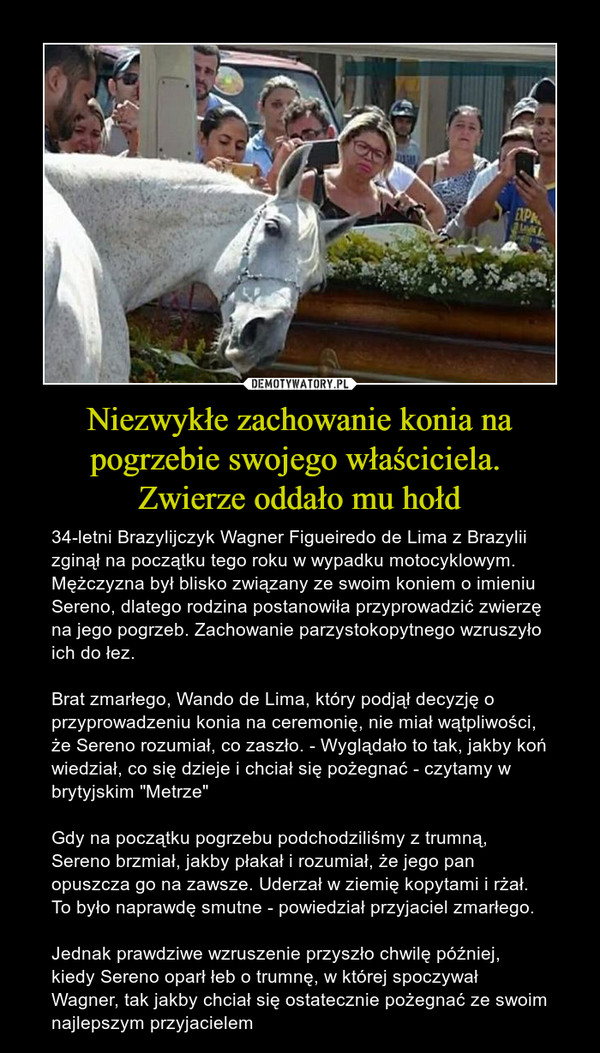 Niezwykłe zachowanie konia na pogrzebie swojego właściciela. 
Zwierze oddało mu hołd