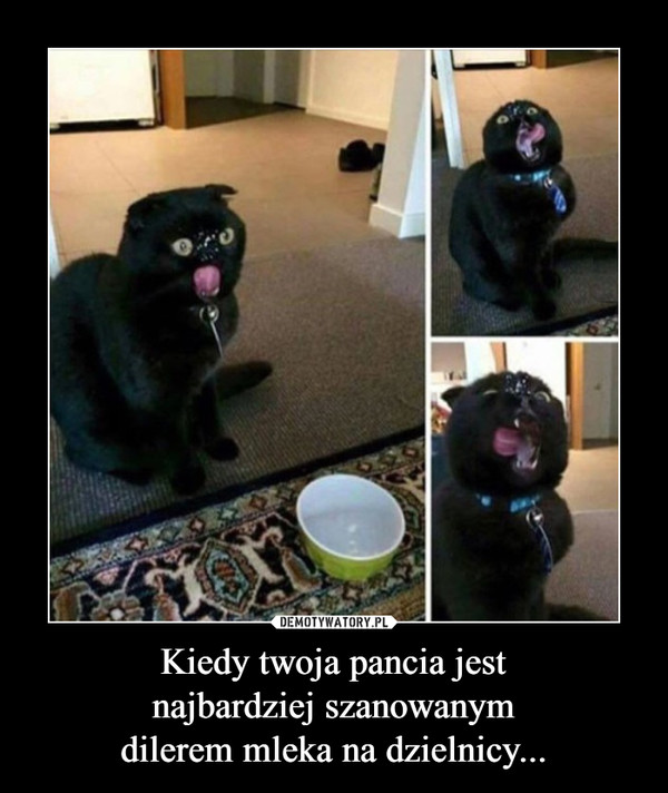 Kiedy twoja pancia jestnajbardziej szanowanymdilerem mleka na dzielnicy... –  