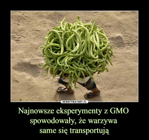 Najnowsze eksperymenty z GMO spowodowały, że warzywa same się transportują –  