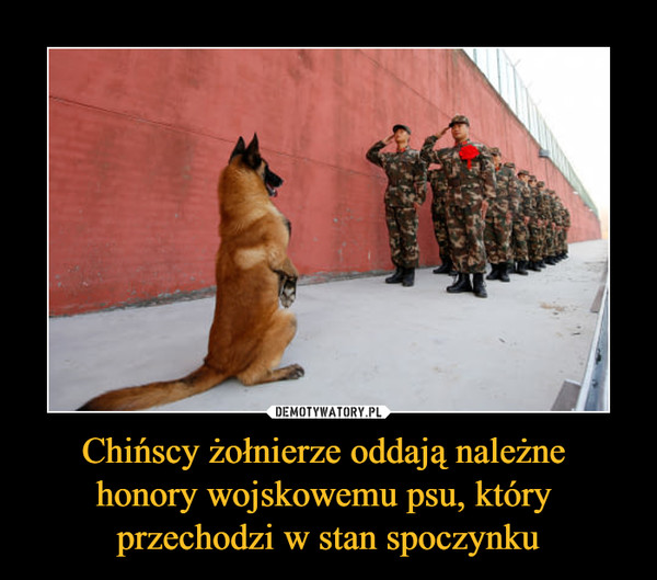 Chińscy żołnierze oddają należne 
honory wojskowemu psu, który 
przechodzi w stan spoczynku
