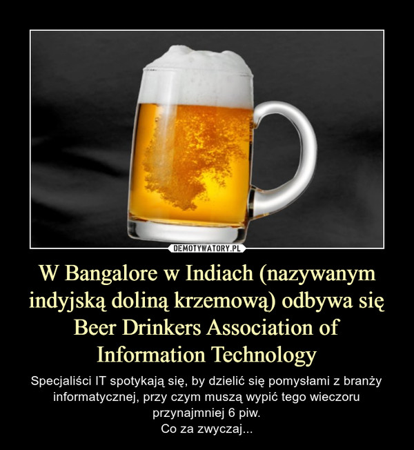 W Bangalore w Indiach (nazywanym indyjską doliną krzemową) odbywa się Beer Drinkers Association of Information Technology
