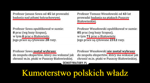 Kumoterstwo polskich władz