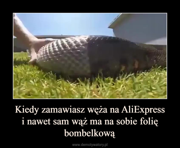 Kiedy zamawiasz węża na AliExpressi nawet sam wąż ma na sobie folię bombelkową –  