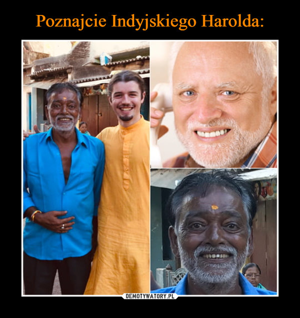 Poznajcie Indyjskiego Harolda: