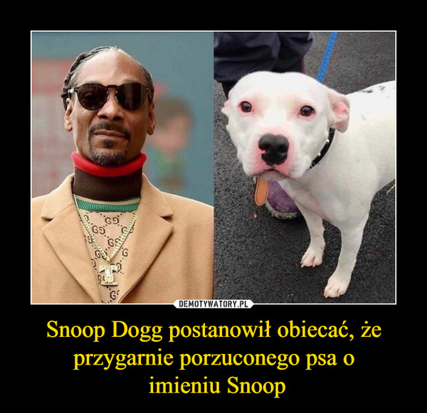 Snoop Dogg postanowił obiecać, że przygarnie porzuconego psa o
 imieniu Snoop