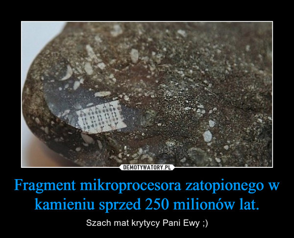 Fragment mikroprocesora zatopionego w kamieniu sprzed 250 milionów lat.