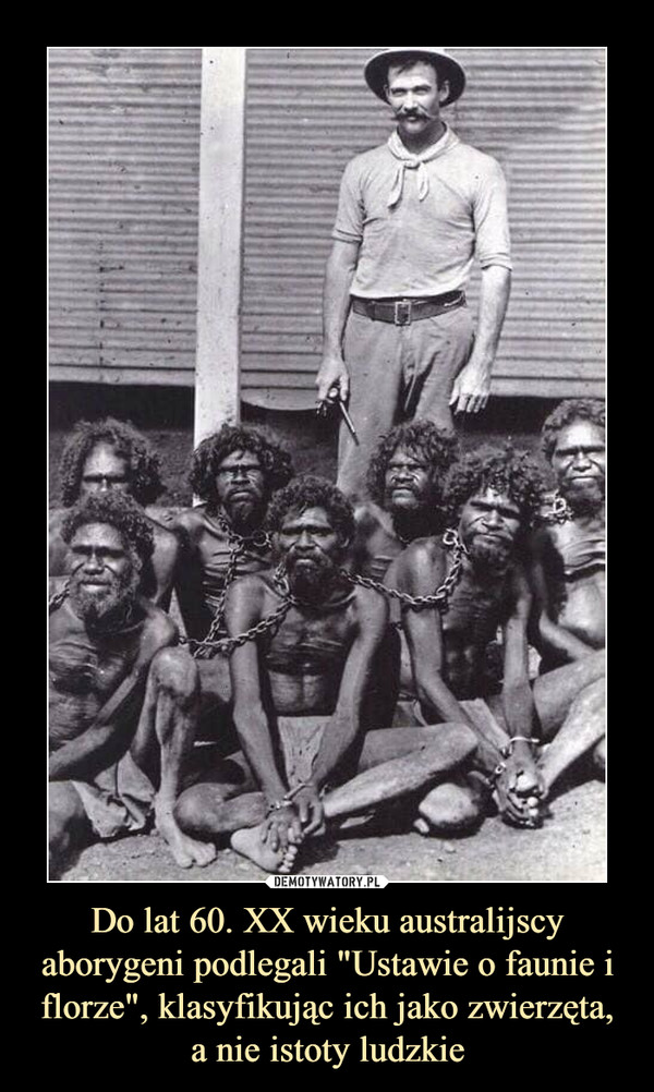 Do lat 60. XX wieku australijscy aborygeni podlegali "Ustawie o faunie i florze", klasyfikując ich jako zwierzęta, a nie istoty ludzkie