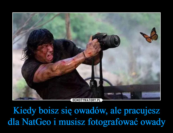 Kiedy boisz się owadów, ale pracujesz dla NatGeo i musisz fotografować owady –  