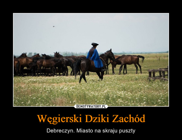 Węgierski Dziki Zachód – Debreczyn. Miasto na skraju puszty 
