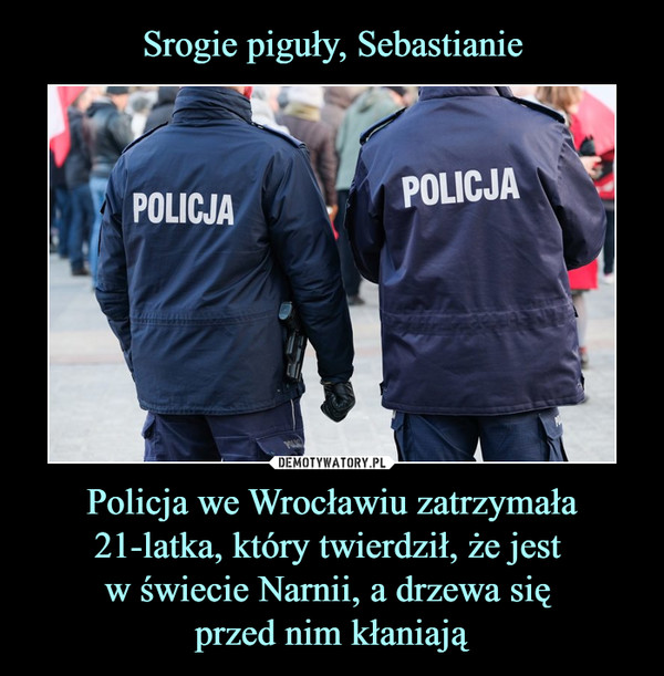 Policja we Wrocławiu zatrzymała 21-latka, który twierdził, że jest w świecie Narnii, a drzewa się przed nim kłaniają –  