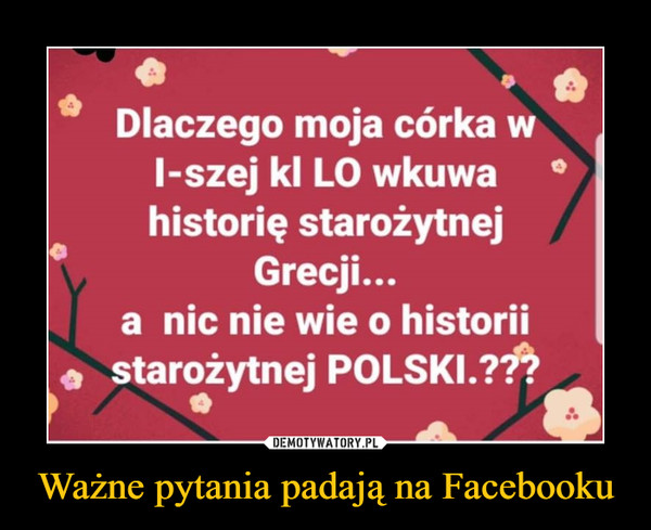 Ważne pytania padają na Facebooku –  O o Dlaczego moja córka w 1-szej kl LO wkuwa historię starożytnej Grecji... a nic nie wie o historii starożytnej POLSKI.?"