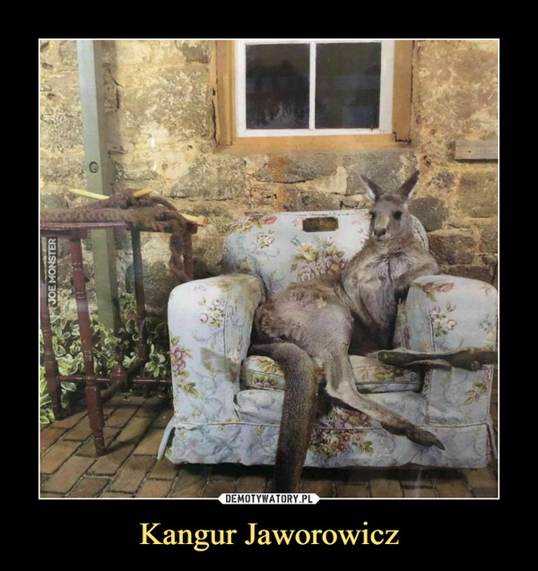 Kangur Jaworowicz
