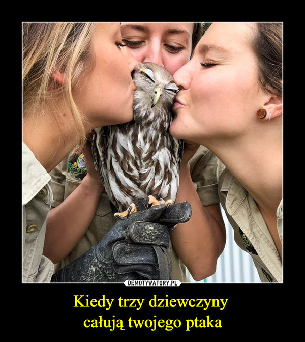 Kiedy trzy dziewczyny całują twojego ptaka –  