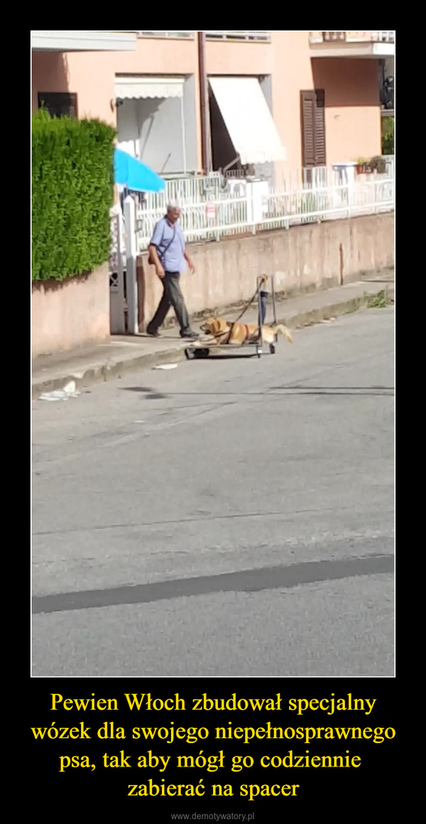 Pewien Włoch zbudował specjalny wózek dla swojego niepełnosprawnego psa, tak aby mógł go codziennie zabierać na spacer –  